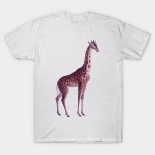 giraffe classic T-Shirt